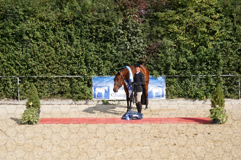 s_A7_01708.jpg